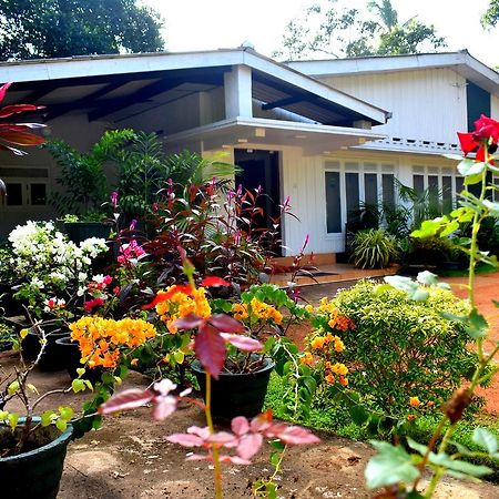 Hotel Molino Tourist Rest Anuradhapura Exterior foto