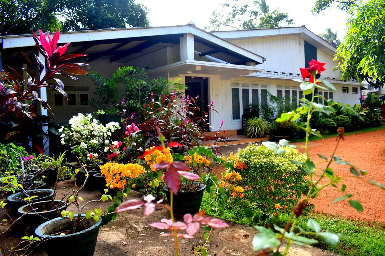 Hotel Molino Tourist Rest Anuradhapura Exterior foto